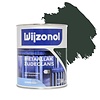 Wijzonol Metaallak Zijdeglans 9325 Woudgroen