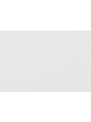 Emil & Hugo Naturalis 90009 Emil & Hugo Naturalis 90009