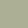 Histor MY color - Olive Sprig