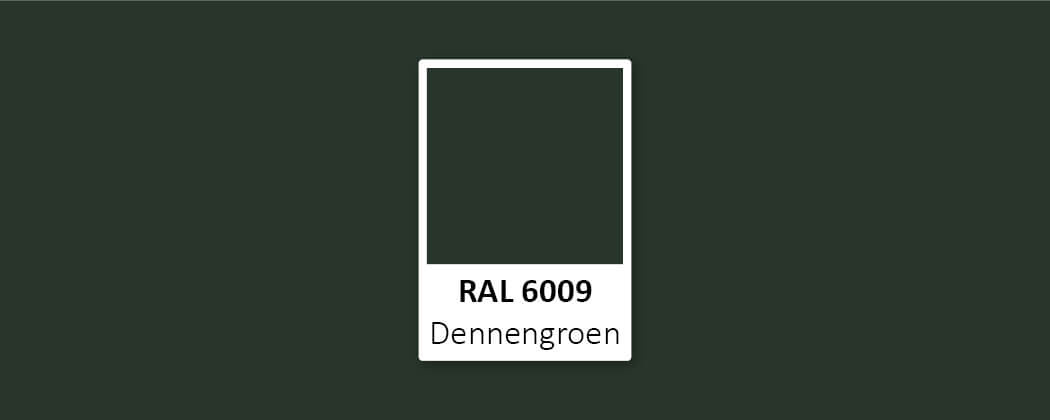 Wat is RAL 6009 voor een kleur?