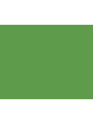 STRIJCK Appel - 163G-6