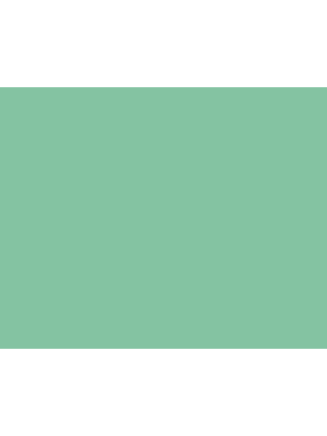 STRIJCK Munt - 166G-4