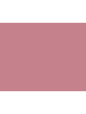 STRIJCK Roos - 077R-4