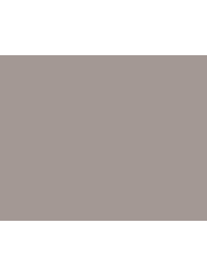 STRIJCK Zoethout - 059N-2