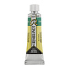 Rembrandt Aquarelverf - tube - Blauwgroen 640 Rembrandt Aquarelverf - tube - Blauwgroen 640