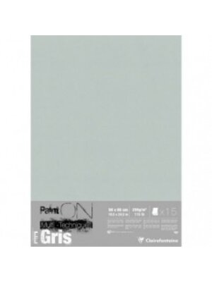 Clairefontaine PaintOn Mixed Media Papier - 250 gr - 50 x 65 cm - Grijs (losse vellen)