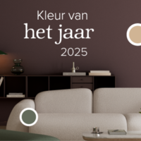 Histor kleur van het jaar 2025: Amethyst Shadow