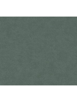 AS Creation Casual Living - Groen - Eenkleurig - 393411 AS Creation Casual Living - Groen - Eenkleurig - 393411