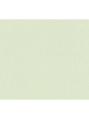 Livingwalls Profitex 2022 - Groen - Uni - 358662 Livingwalls Profitex 2022 - Groen - Uni - 358662