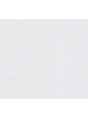 Livingwalls Profitex 2022 - Grijs - Uni - 358666