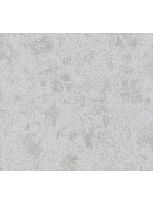 Livingwalls Profitex 2022 - Zilver - Gipslook - 389693