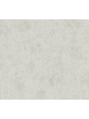 Livingwalls Profitex 2022 - Zilver - Gipslook - 389697