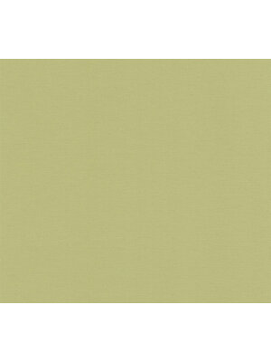 AS Creation Retro Chic - Groen - Effen - 390974