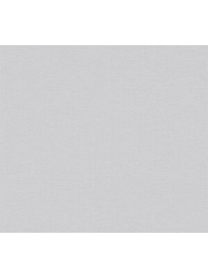 AS Creation PintWalls II - Grijs - 389032 AS Creation PintWalls II - Grijs - 389032