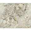 Dutch First Class Carrara Best - Beige