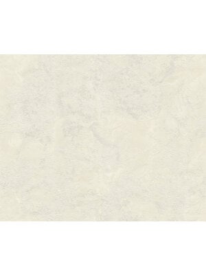 Dutch First Class Carrara Best - Beige