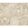 Dutch First Class Carrara Best - Beige
