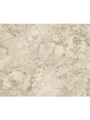 Dutch First Class Carrara Best - Beige