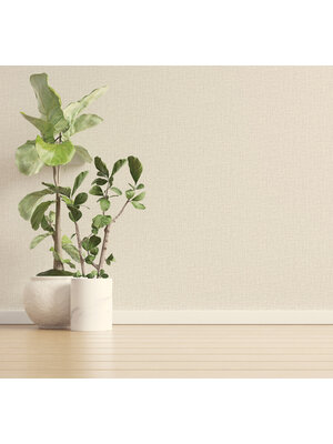 Dutch Wallcoverings Eleganza - Tessuto Plain Dove - Beige Dutch Wallcoverings Eleganza - Tessuto Plain Dove - Beige