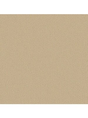 Dutch Wallcoverings Euphorie - Uni - Beige Dutch Wallcoverings Euphorie - Uni - Beige