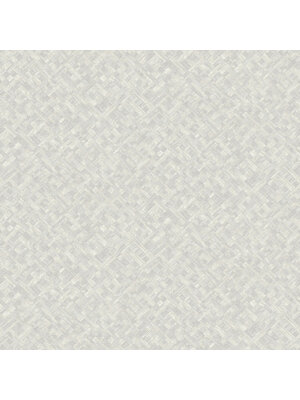 Dutch Wallcoverings Level Two - Agave - Beige
