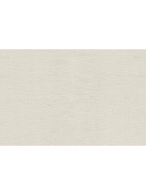 Dutch FC Roberto Cavalli 9- uni beige - 21084