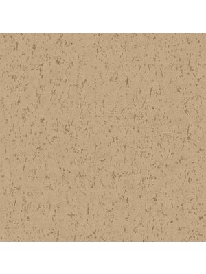 Dutch FC Arber- Callie Gold  - DL26710