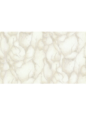 Dutch Wallcoverings Yudashkin 5 10X1,06M - Beige/Zilver Dutch Wallcoverings Yudashkin 5 10X1,06M - Beige/Zilver