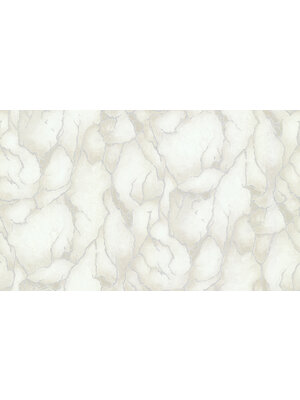 Dutch Wallcoverings Yudashkin 5 10X1,06M - Beige/Zilver