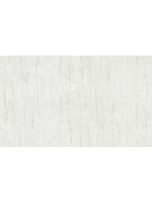 Dutch Wallcoverings Yudashkin 5 10X1,06M - Beige/Zilver