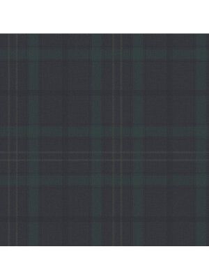 Dutch FC Sauvage/British H. ruit blauw/groen - KT10212