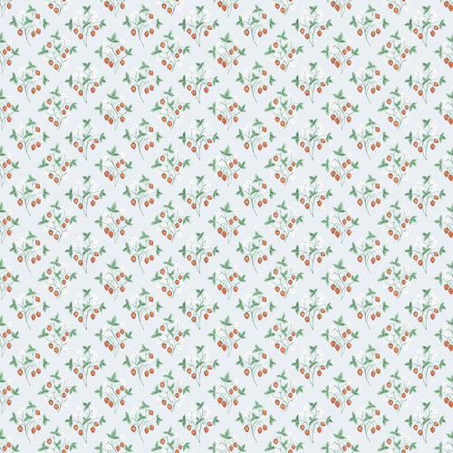 10,05m x 53cm