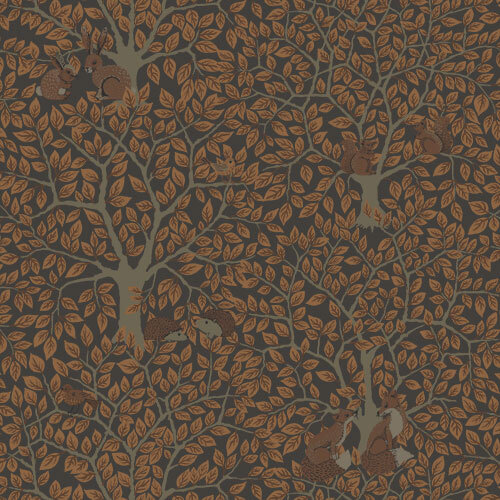 10,05m x 53cm