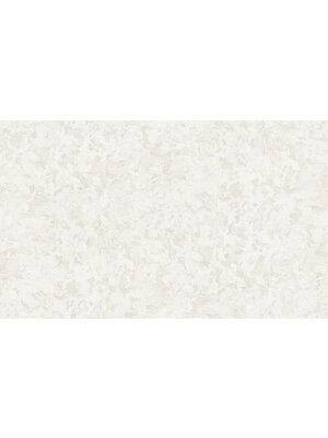 Dutch First Class Carrara Best - Creme