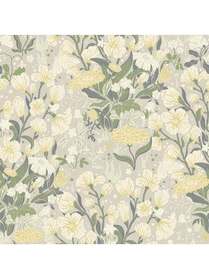 Midbec FC Fägring- Hava geel - 22012