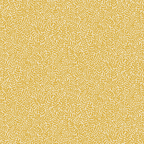 10,05m x 53cm