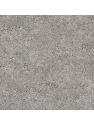 Dutch FC Arber- Colt Grey  - DL26753