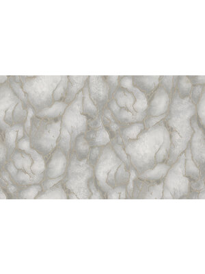 Dutch Wallcoverings Yudashkin 5 10X1,06M - Grijs/Goud