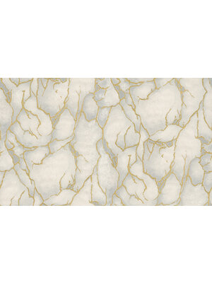 Dutch Wallcoverings Yudashkin 5 10X1,06M - Grijs/Goud