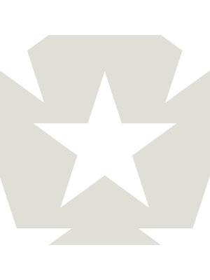 Dutch FC Joy- sterren grijs/wit - 72123