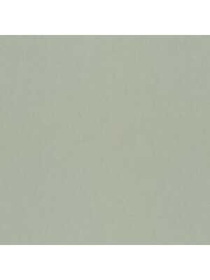 Dutch Wallcoverings Klara & Tove - Uni Spring - Groen