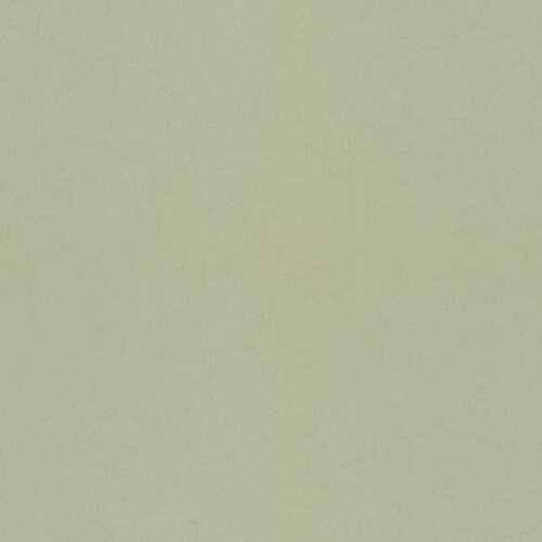 Dutch Wallcoverings Langenas - Pistachio - Groen
