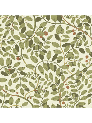 Midbec Lina II - Kirke Green - Groen