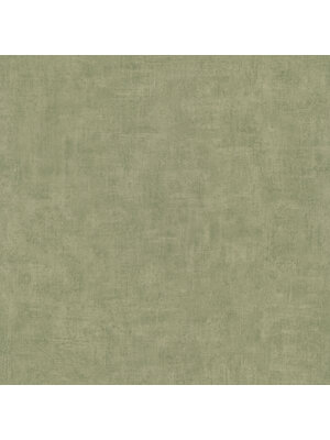 Dutch Wallcoverings Orom II Uni - Groen