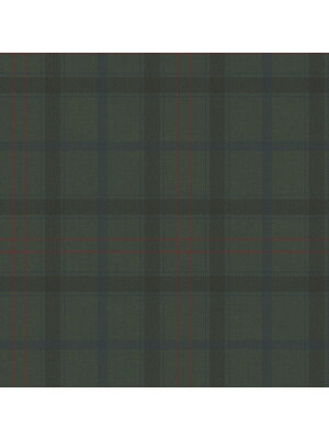 Dutch Wallcoverings Sauvage Ruit - Groen/Rood Dutch Wallcoverings Sauvage Ruit - Groen/Rood