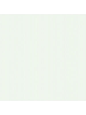 Dutch FC Joy- streepje mintgroen - 72035