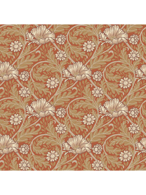 Midbec FC Angas- Esther Red - 13116