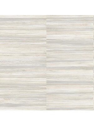 Dutch FC Arber- Rowan White  - DL26744