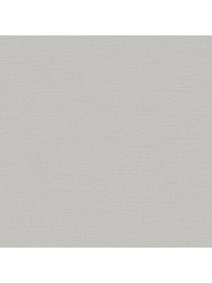 Dutch Wallcoverings Wall Fabric/Bs1 Linen Silver - Zilver Dutch Wallcoverings Wall Fabric/Bs1 Linen Silver - Zilver