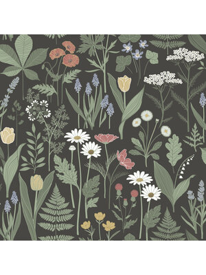 Midbec FC Ortagard- Elsa Black - 92103